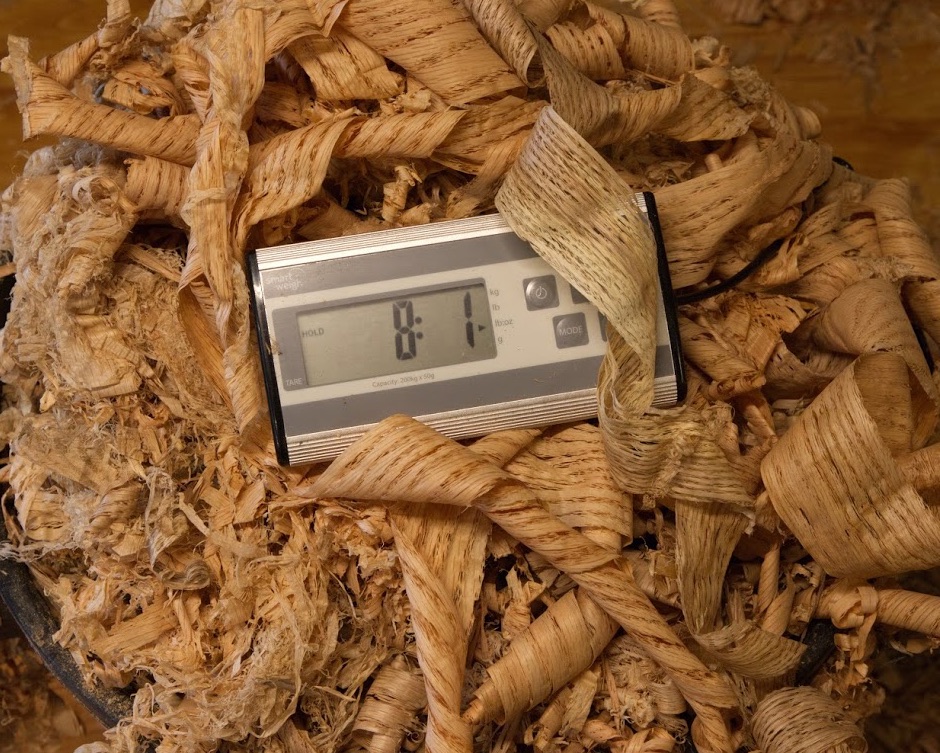 Oak Shavings